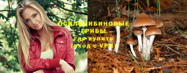 прущий лед Кукмор