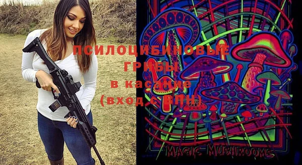 гидропоника Беслан