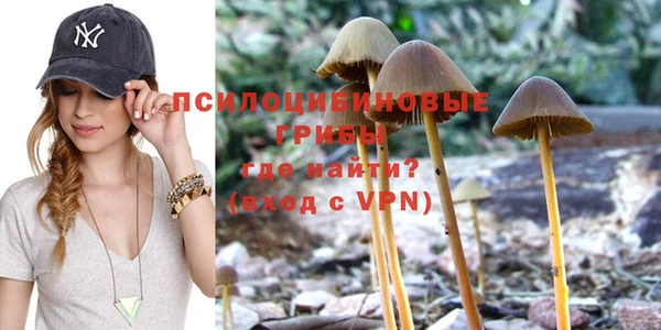 прущий лед Кукмор