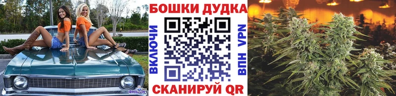 MEGA вход  Людиново  Конопля семена 